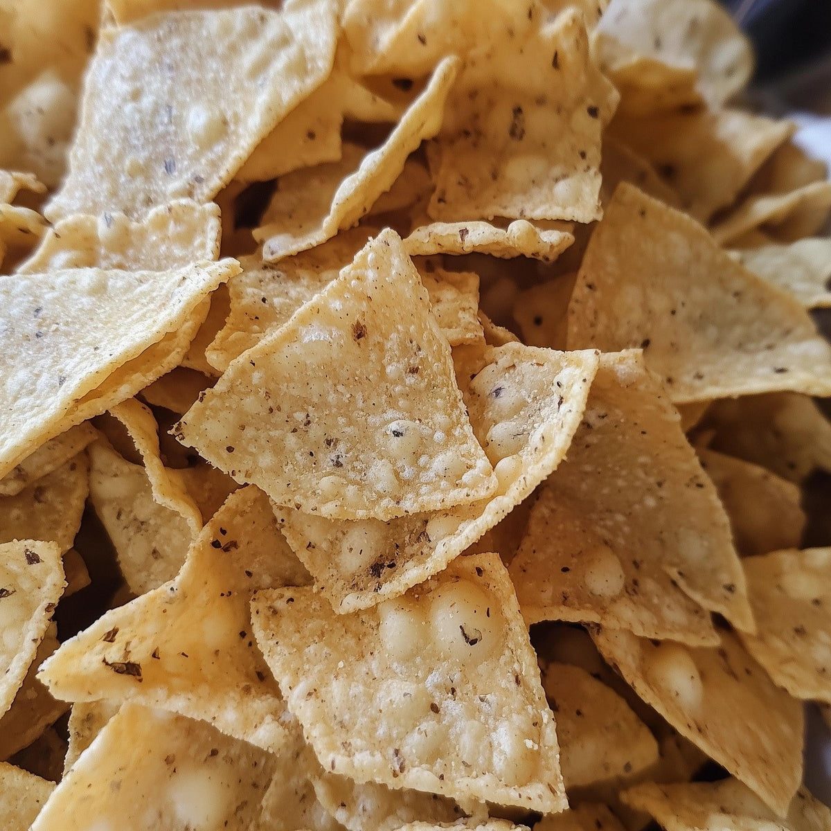 Totopo Fried Yellow Corn